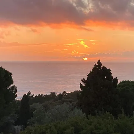 Chez Jean Claude La Des Amis Olmeto (Corsica)