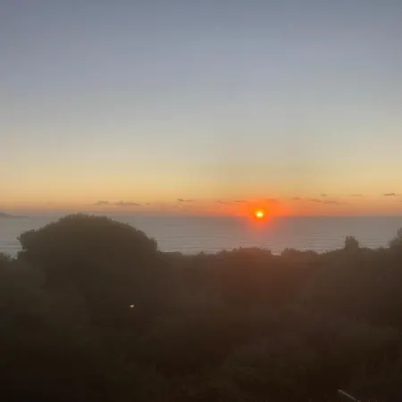 Chez Jean Claude La Des Amis *