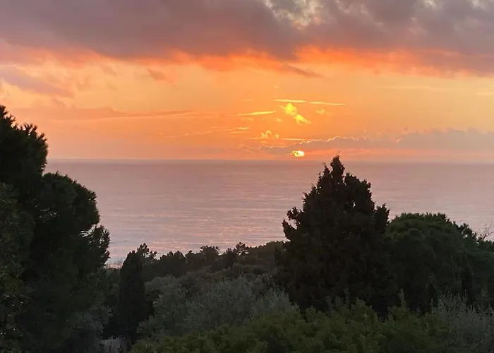 Chez Jean Claude La Des Amis Olmeto (Corsica)