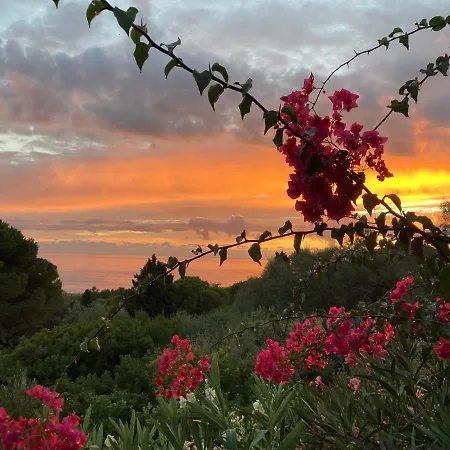 Lejlighed Chez Jean Claude La Des Amis *