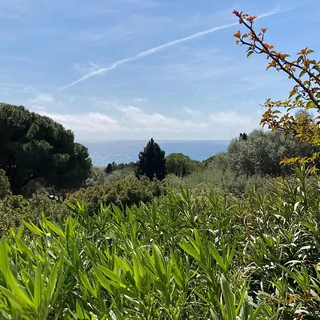 Chez Jean Claude La Des Amis *