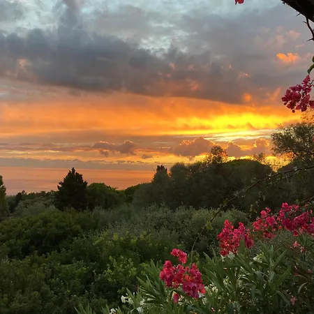 Lejlighed Chez Jean Claude La Des Amis *