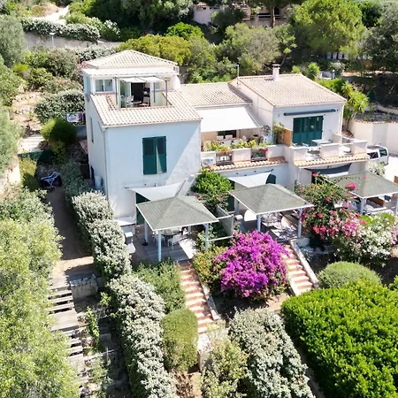 Chez Jean Claude La Des Amis *