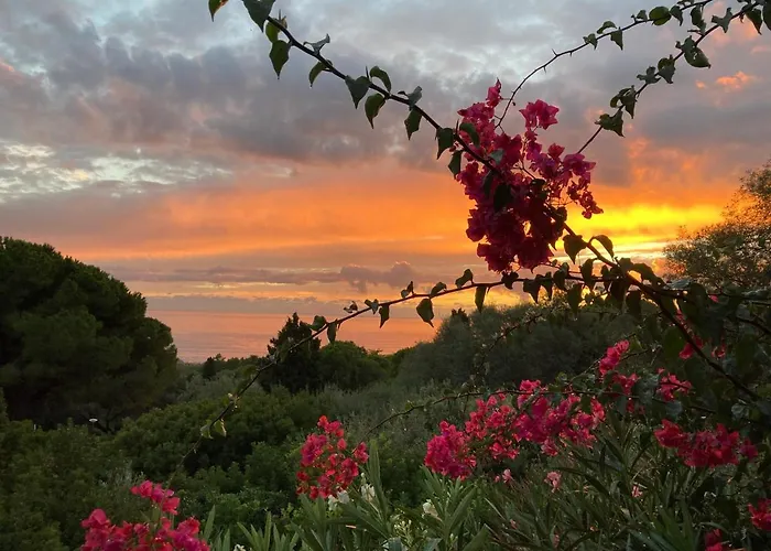Appartement Chez Jean Claude La Des Amis *